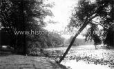 The Lake, Highams Park, London. c.1912.