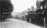 The Shrubbies, George Lane, South Woodford, London. c.1920