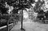 The Drive, Walthamstow, London. c.1906.