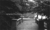 A View of the Bridge and Lake, Highams Park, London. c.1920's