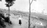 The Cliffs, Leigh on Sea, Essex. c.1908.