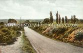 The Common, Danbury, Essex. c.1920's
