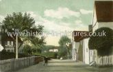 Feering Street, Kelvedon, Essex. c.1905