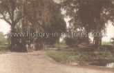 Landermere Hall, Thorpe-le-Soken, Essex. c.1906