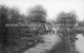 The Canal, Beeleigh, Essex. c.1913