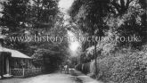 Vicargae Lane, Chigwell, Essex. c.1910