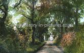 Theydon Mount, Essex. c.1909