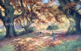 Monks Wood, Epping Forest, Essex. c.1905